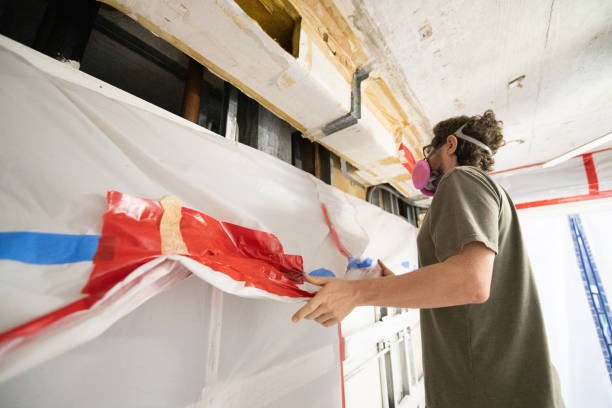 Best Industrial Mold Remediation  in Nitro, WV
