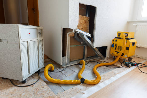 Best Mold Remediation for Healthcare Facilities  in Nitro, WV